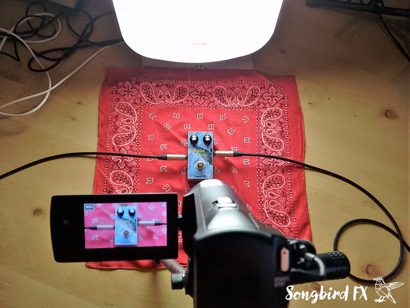 Bluebird Drive Video Produktion